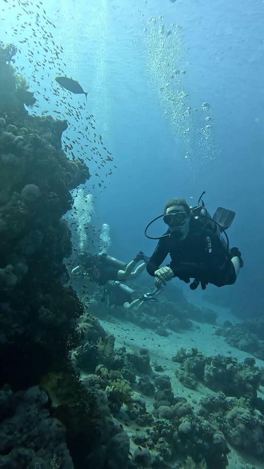 Red Sea underwater photo